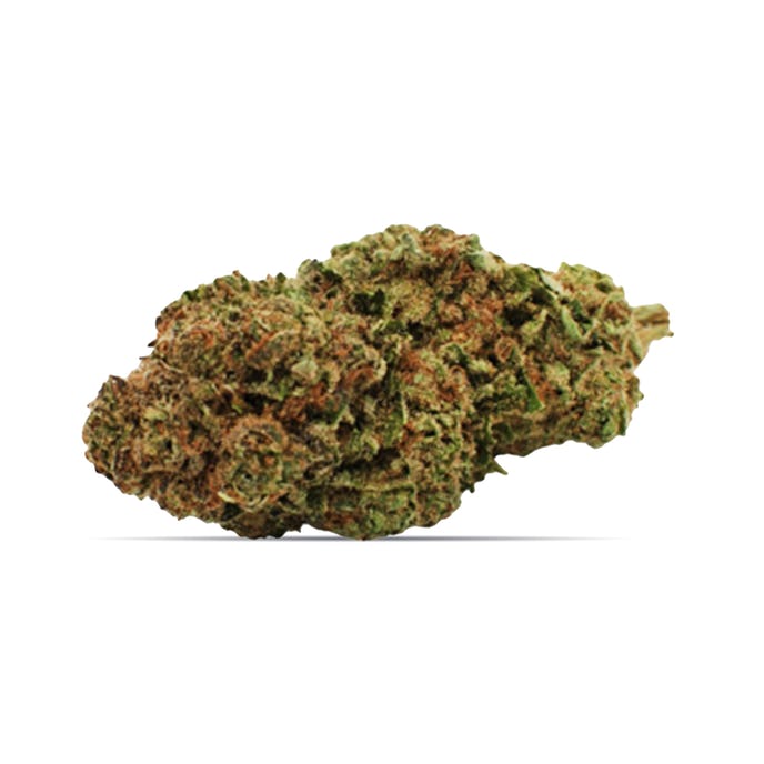 176f4ee84ae3437e8ddd668c97a5d1e7